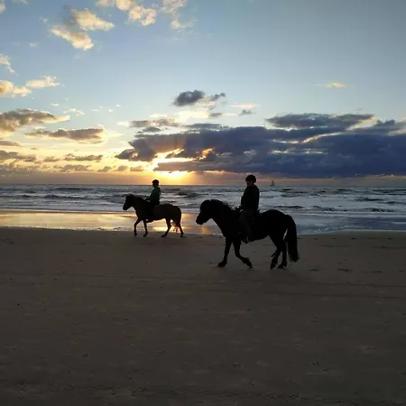 Bed & Breakfast Zijperdijk 3*